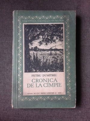 CRONICA DE LA CIMPIE - PETRU DUMITRIU foto