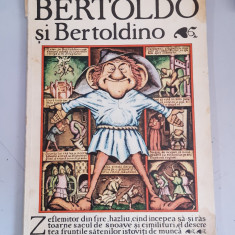 BERTOLDO SI BERTOLDINO - ADRIANA LAZARESCU 1984