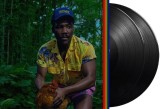 Bando Stone And The New World - Vinyl | Childish Gambino