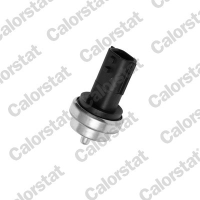CALORSTAT by Vernet WS3019 senzor,temperatura lichid de racire foto