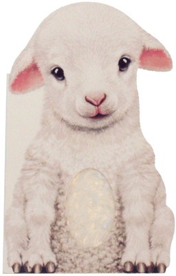 Furry Lamb foto