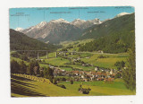 AT6 -Carte Postala-AUSTRIA- Luftkurort Steinach am Brenner, circulata, Fotografie
