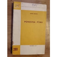 Povestea painii- Elena Boldea