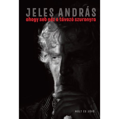 ahogy seb n&amp;eacute;z a t&amp;aacute;voz&amp;oacute; szuronyra - t&amp;ouml;red&amp;eacute;kek - Jeles Andr&amp;aacute;s foto