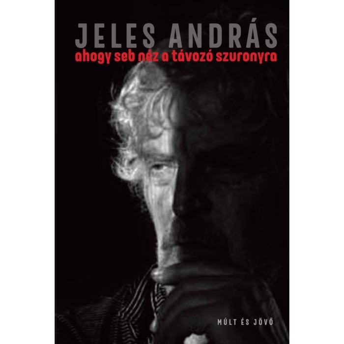 ahogy seb n&eacute;z a t&aacute;voz&oacute; szuronyra - t&ouml;red&eacute;kek - Jeles Andr&aacute;s