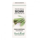 Extract din radicele de Secara, 50ml, PlantExtrakt