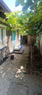 Casa , zona Coiciu foto