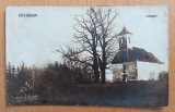 Săv&acirc;rșin Vinești Viniști jud. Arad foto PC 1924