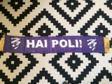 esarfa Poli Timisoara Politehnica fotbal club reclama Bergembier fan sport