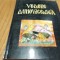 VEDERE DUHOVNICEASCA - Isihast Anonim - trad.: Constantin Coman - 1999, 270 p.