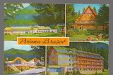 CPIB 17298 CARTE POSTALA - POIANA BRASOV. MOZAIC