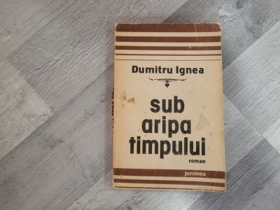 Sub aripa timpului de Dumitru Ignea foto