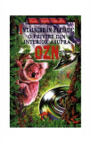 &Icirc;nt&acirc;lnire &icirc;n Pleiade - Paperback brosat - Daksha, 2024