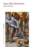 Isus din intuneric - Radu Gavan