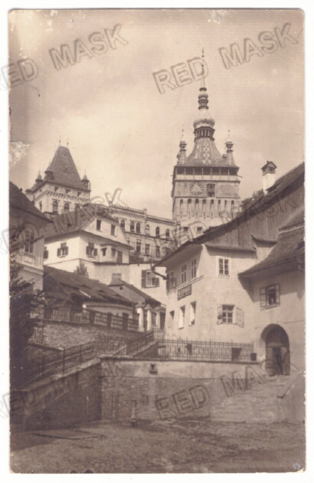 4446 - SIGHISOARA, Mures, Romania - old postcard, real Photo - used