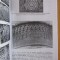 Gheorghe Macarie - Barocul in artele vizuale ale Moldovei sec. al XVII-lea