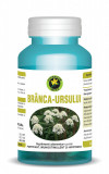 BRANCA URSULUI 60cps HYPERICUM