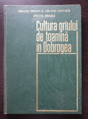 CULTURA GRAULUI DE TOAMNA IN DOBROGEA foto