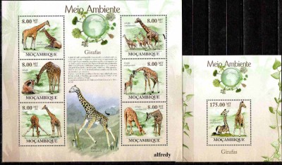 MOZAMBIC 2010, Fauna, serie neuzata, MNH foto