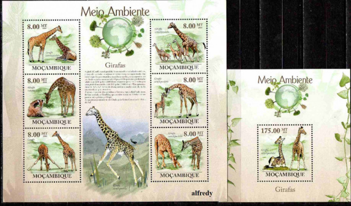 MOZAMBIC 2010, Fauna, serie neuzata, MNH