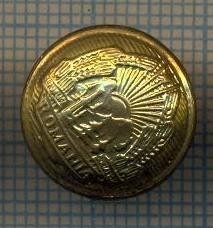 Y 2072 NASTURE MIC METALIC -MILITAR -PERIOADA RSR -PENTRU COLECTIONARI foto