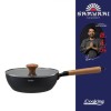 TIGAIE WOK+CAP 24X7.5CM,RIKITO WATANABE, Heinner