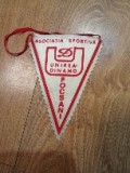 Fanion Fotbal, Unirea Focsani Dinamo