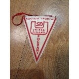 Fanion Fotbal, Unirea Focsani Dinamo