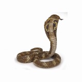 Papo Figurina Sarpe Cobra, Animale Salbatice