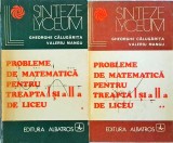 Gheorghe Calugarita, Valeriu Mangu - Probleme de matematica pentru treapta I si