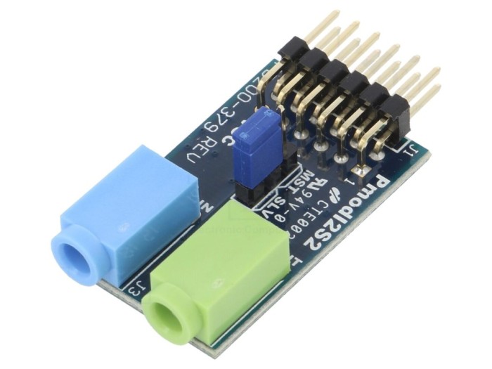 Modul convertor A/D și D/A I2S