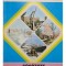 Stelian Dorobantu - Statiunile de odihna si tratament balnear - Sanatate pentru fiecare (Editia: 1979)