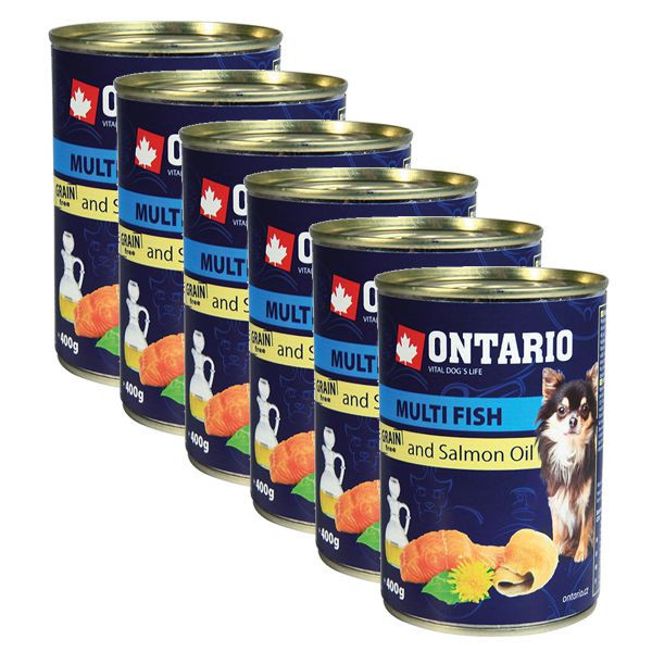 Conservă ONTARIO Pește și ulei de somon, 6 x 400g