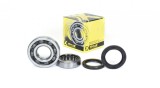 Set rulmenti ambielaj cu simeringuri Honda CRF 250R CRF 250X 04- 06