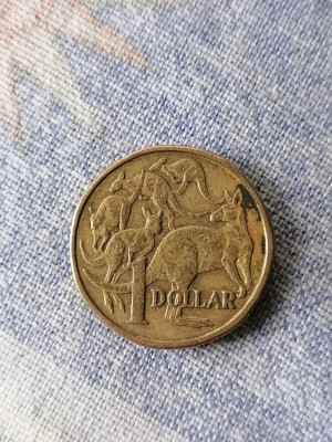 MONEDA - 1 DOLLAR 1984-AUSTRALIA foto