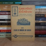 SANDA MARIN - 101 FELURI DE MANCARI DIN CARTOFI ( CUNOSTINTE FOLOSITOARE ) , 1942 #