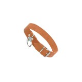 Cumpara ieftin Zgarda caine din piele, nr 1292,3 cm x 60 cm