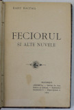 FECIORUL SI ALTE NUVELE de RADU BALTAG , 1910