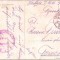 HST CP42 Carte postala austro-ungară Feldpost 647 IR 61 Timișoara 1918