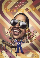 Who Is Stevie Wonder? foto