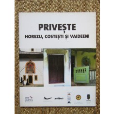 PRIVEŞTE HOREZU, COSTEŞTI ŞI VAIDEENI (2010)