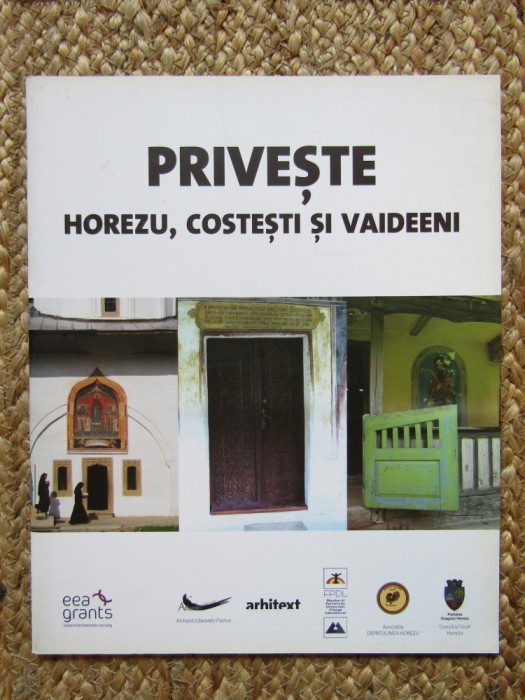 PRIVEŞTE HOREZU, COSTEŞTI ŞI VAIDEENI (2010)