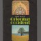 C9380 ORIENTUL OCCIDENT - BORIS BUZILA