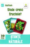 Unde cresc fructele? 3 ani+ (Eduflash)