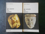HEINRICH SCHLIEMANN - PE URMELE LUI HOMER 2 volume
