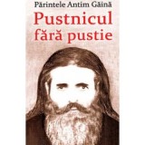 Parintele Antim Gaina. Pustnicul fara pustie - Vlad Herman