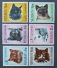 YEMEN K.-PISICI-serie complecta 6 V.-MNH**.- YK 010, Asia, Fauna
