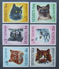 YEMEN K.-PISICI-serie complecta 6 V.-MNH**.- YK 010