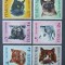 YEMEN K.-PISICI-serie complecta 6 V.-MNH**.- YK 010