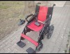 V&acirc;nd căruț electric
